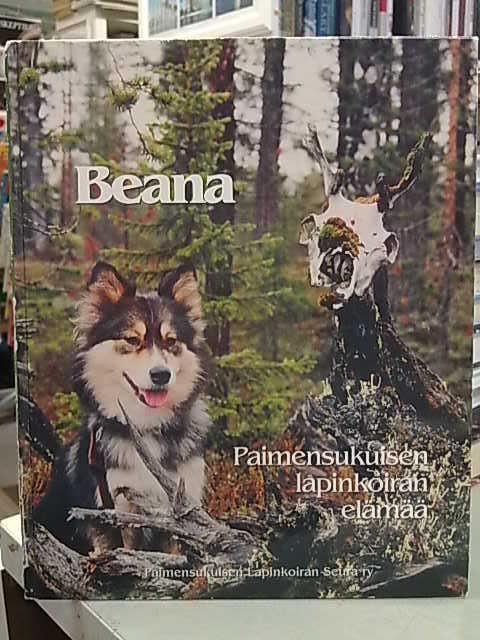 Beana - Paimensukuisen lapinkoiran elämää