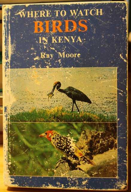 Birds in Kenya - Where to Watch