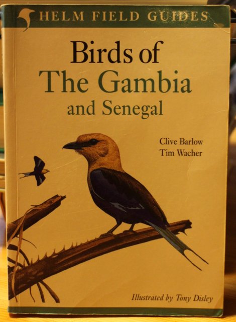 Birds of The Gambia and Senegal - Helm Field Guides