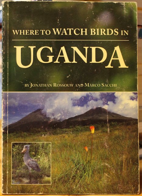 Where to Watch Birds in Uganda.