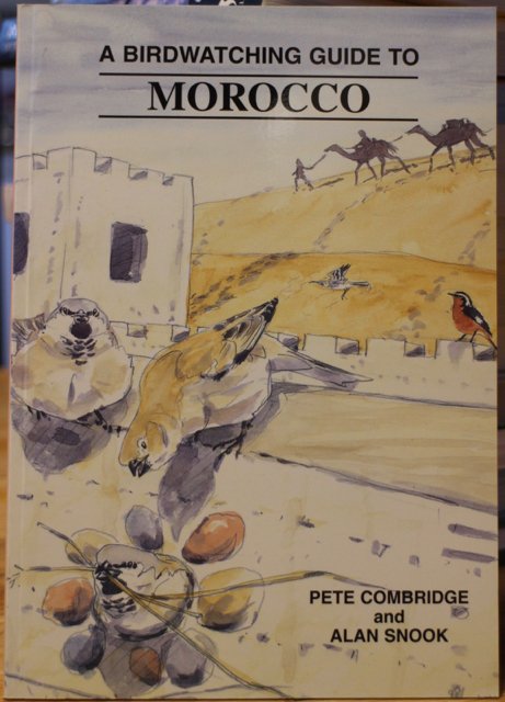 Birdwatching Guide to Morocco, A